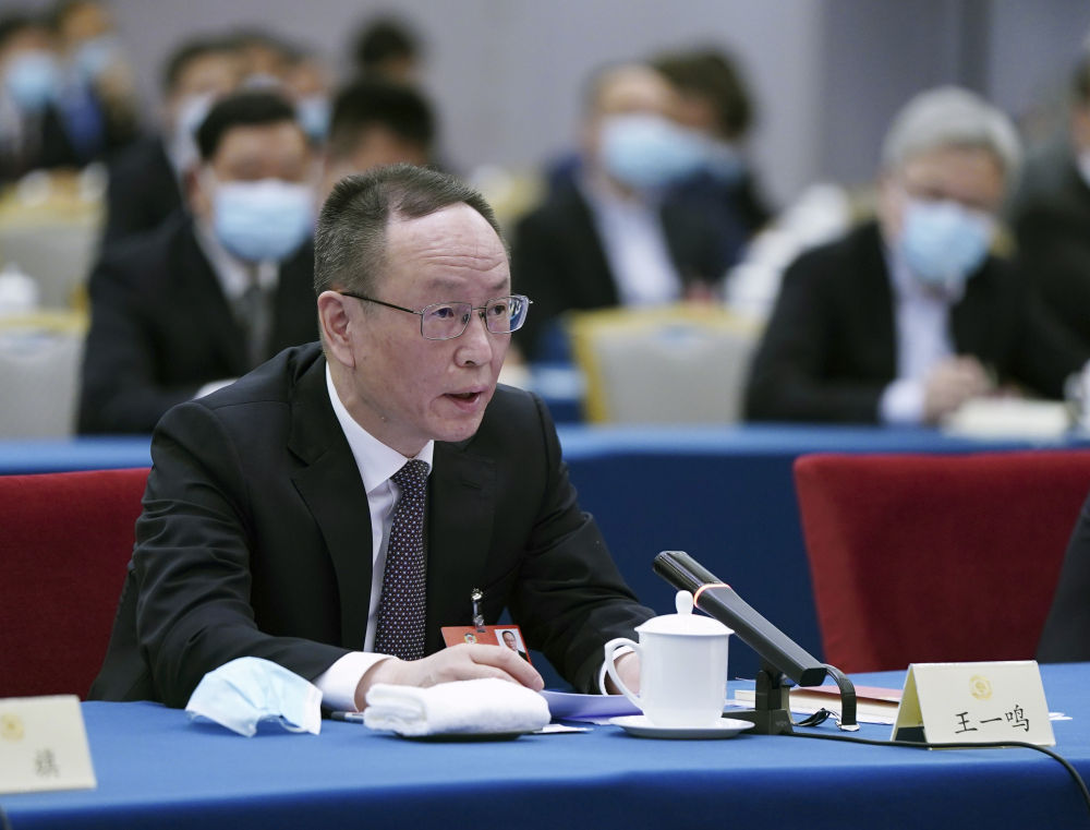 5月23日，全國政協(xié)委員王一鳴在經(jīng)濟界聯(lián)組會上發(fā)言。新華社記者　謝環(huán)馳　攝